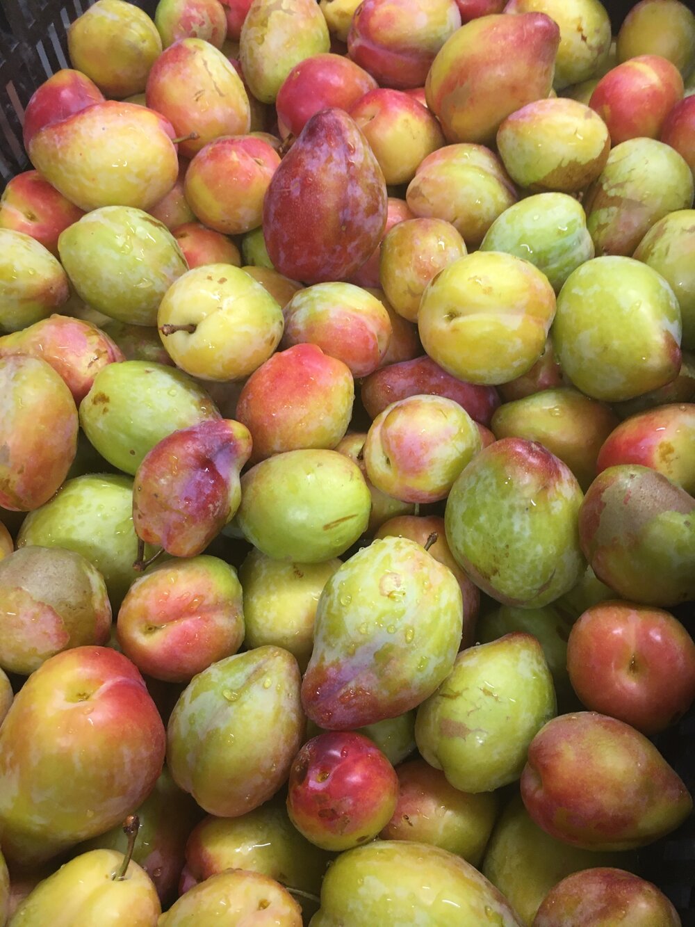 Organic Luisa Plums 1kg