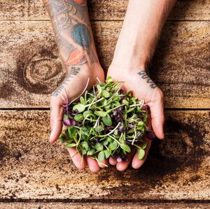 Organic Megagreens 100g