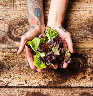Organic Earth Warrior Baby Greens 125g