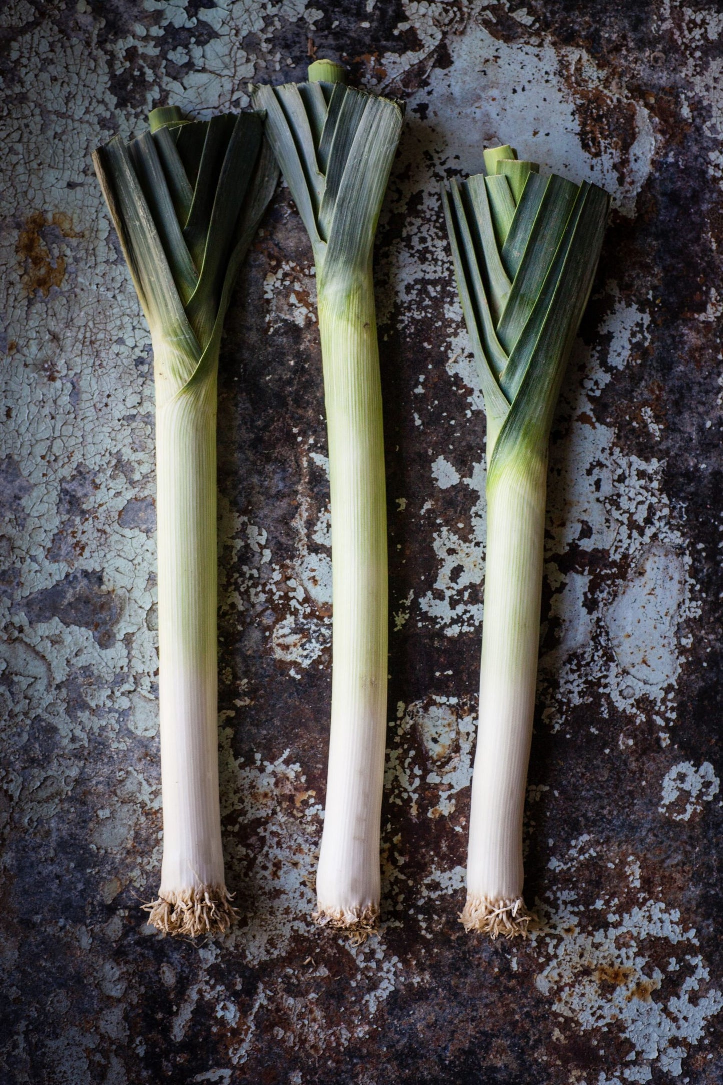 Organic Baby Leek