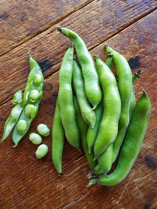 Organic Broad Beans 500 g