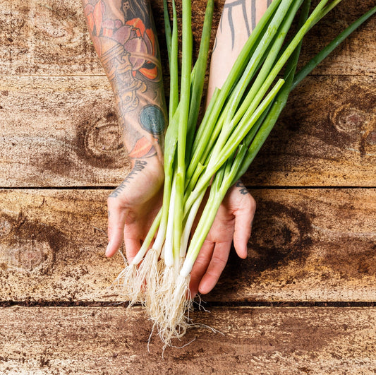 Christmas Organic Spring Onions