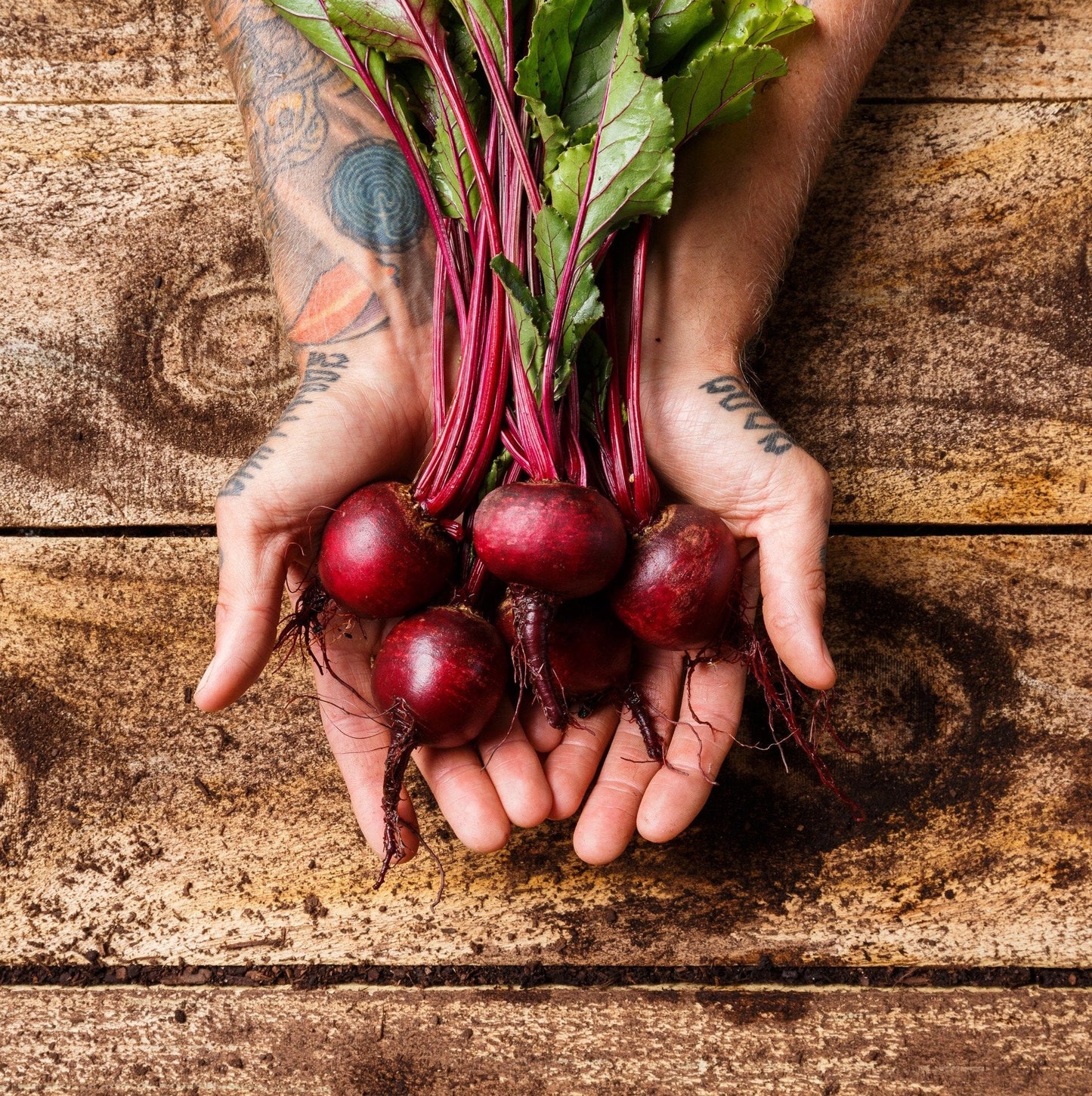 Christmas Organic Beetroot (Red)