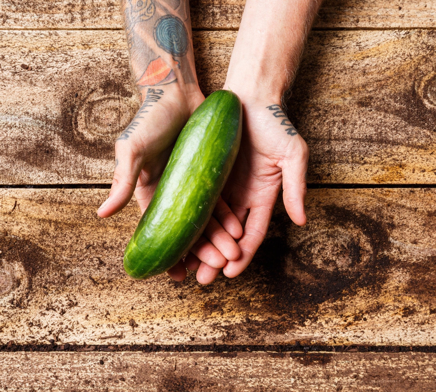 Christmas Organic Lebanese Cucumber