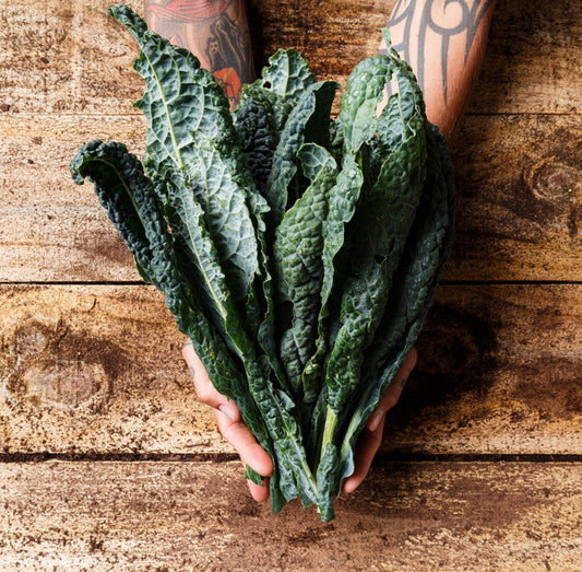 Christmas Organic Cavolo Nero