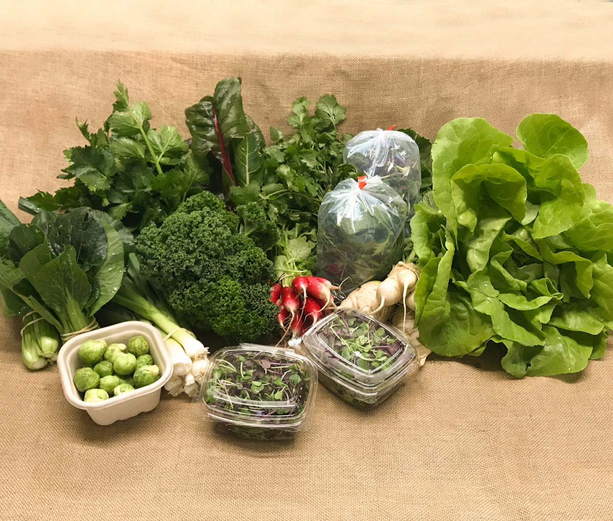 Earth Box Intake – Earth Stewards - Certified Organic Urban Farm