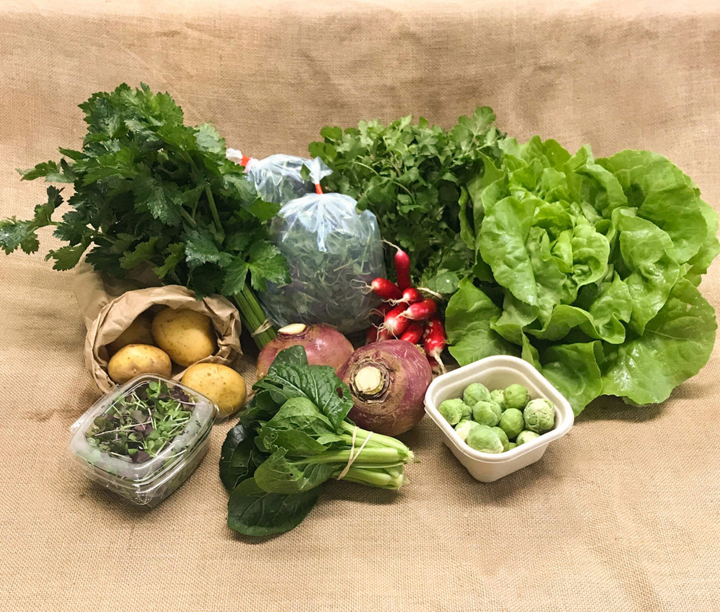 What's in the Earth Box? – Earth Stewards - Certified Organic Urban Farm