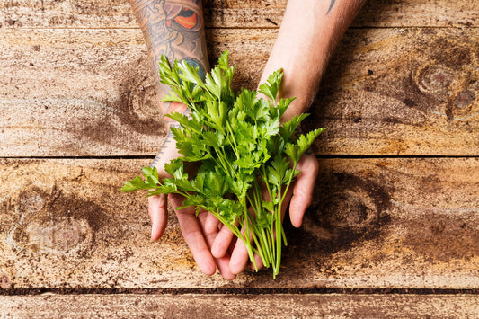 Organic Parsley Italian 50g