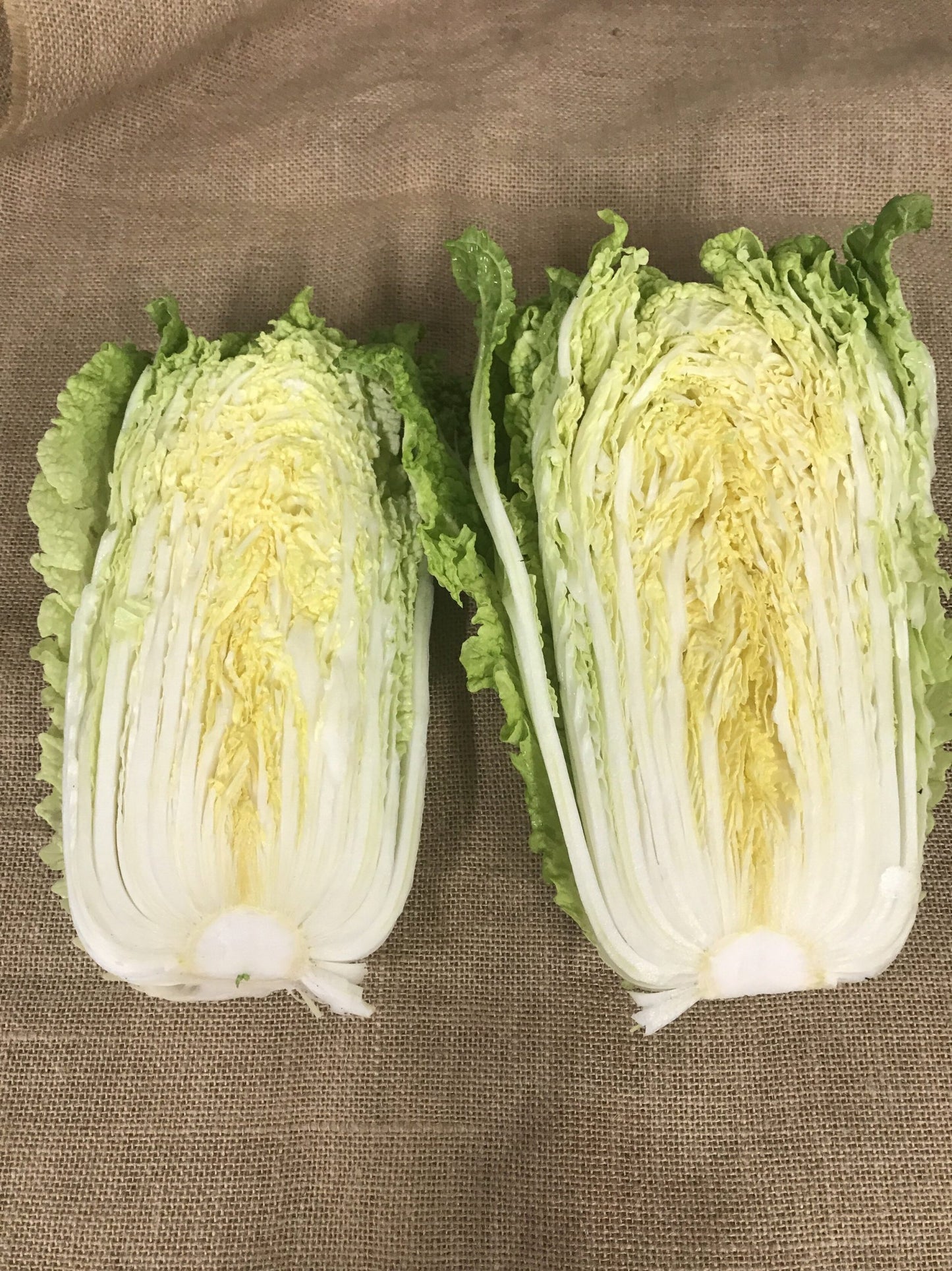 Organic Chinese Cabbage ( 600 g approx )