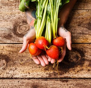Organic Beetroot (Golden)